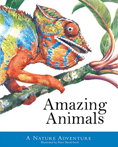 9781626863231: Amazing Animals (Peter David Scott)