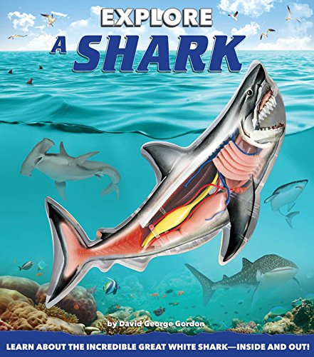 Beispielbild fr Explore a Shark zum Verkauf von ZBK Books