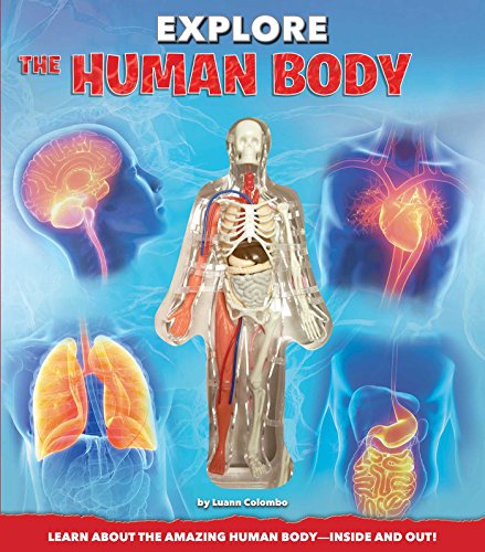 Beispielbild fr Explore the Human Body zum Verkauf von SecondSale