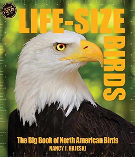 Imagen de archivo de Life-Size Birds a la venta por Better World Books