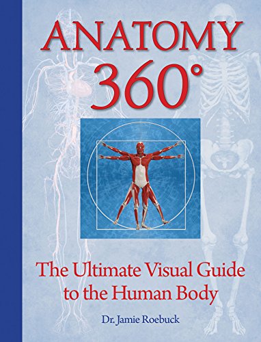 marc brunet ultimate guide to drawing the human anatomy