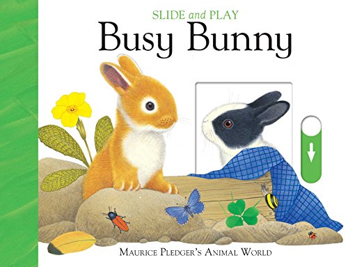 Stock image for Slide Play: Busy Bunny for sale by Goodwill Books