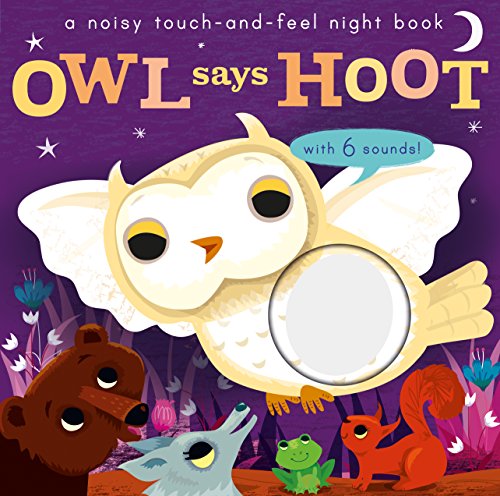 Imagen de archivo de Noisy Touch and Feel: Owl Says Hoot a la venta por Idaho Youth Ranch Books