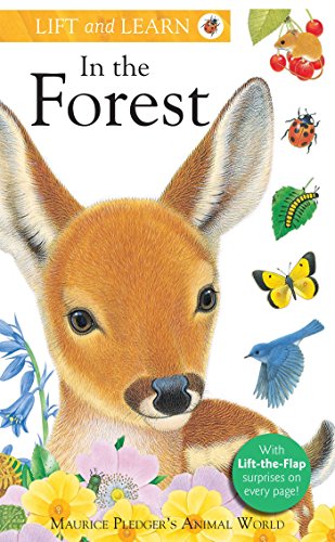 Stock image for Lift and Learn: In the Forest for sale by WorldofBooks