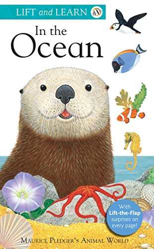 Beispielbild fr Lift and Learn: In the Ocean (Lift & Learn) zum Verkauf von Wonder Book