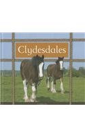9781626870048: Clydesdales (Majestic Horses)