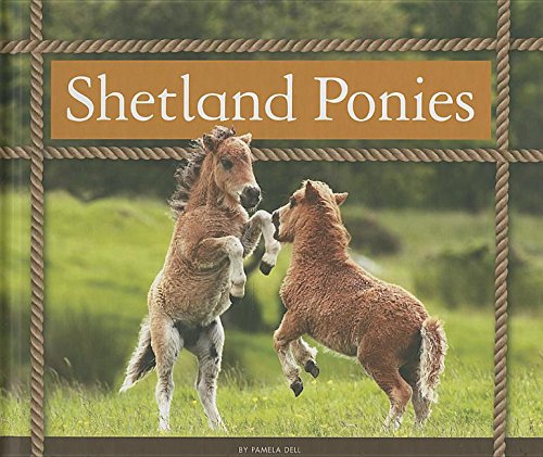 Beispielbild fr Shetland Ponies zum Verkauf von Better World Books: West