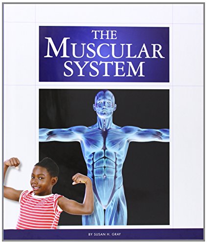 Stock image for The Muscular System for sale by Better World Books