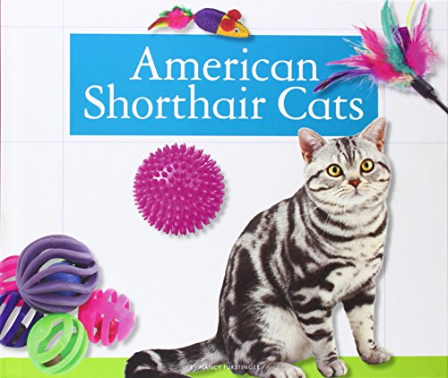 Imagen de archivo de American Shorthair Cats a la venta por Better World Books