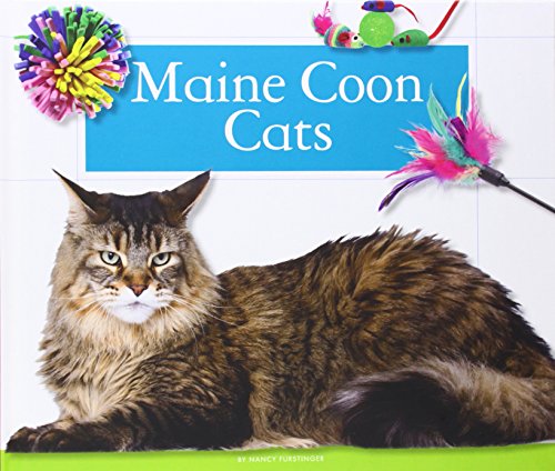 9781626873827: Maine Coon Cats (Domestic Cats)