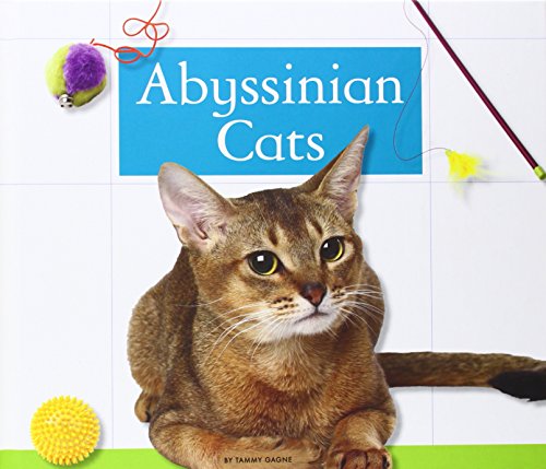 9781626873858: Abyssinian Cats (Domestic Cats)