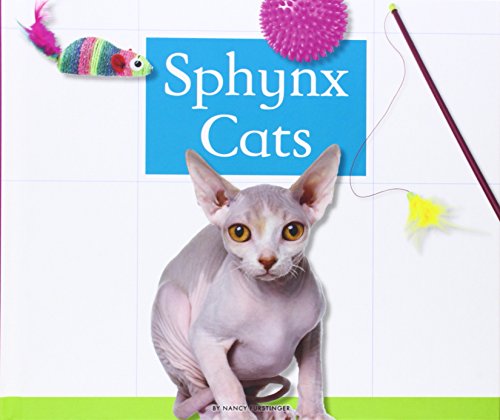 9781626873889: Sphynx Cats