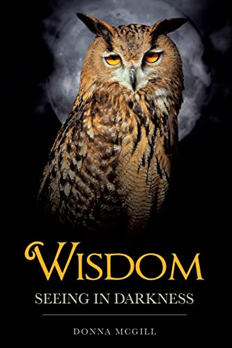 Stock image for Wisdom Seeing in Darkness for sale by Chiron Media