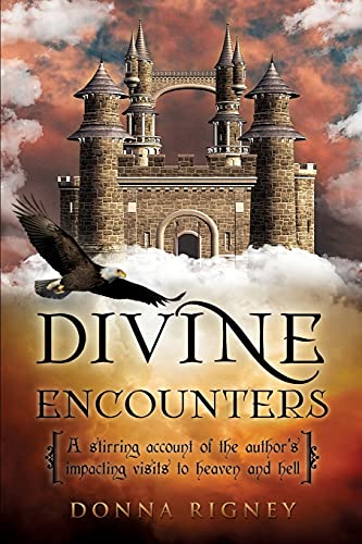 9781626978935: Divine Encounters