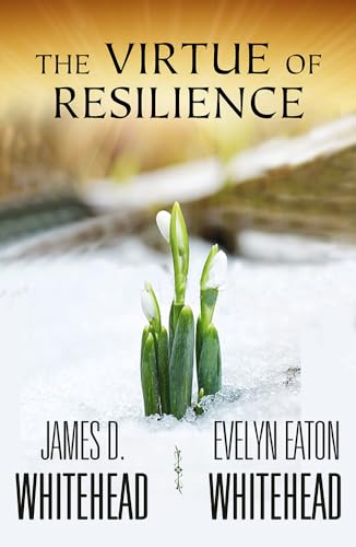 Imagen de archivo de The Virtue of Resilience a la venta por Better World Books