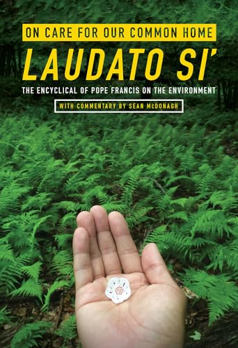 Beispielbild fr On Care for Our Common Home Laudato Si: The Encyclical of Pope Francis on the Environment with Commentary by Sean McDonagh (Ecology and Justice) zum Verkauf von Reuseabook