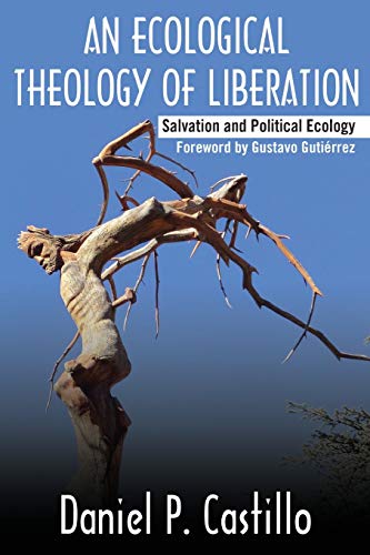 Stock image for An Ecological Theology of Liberation: Salvation and Political Ecology for sale by Revaluation Books