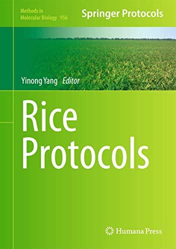 9781627031936: Rice Protocols