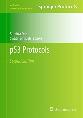 9781627032353: p53 Protocols: 962 (Methods in Molecular Biology)