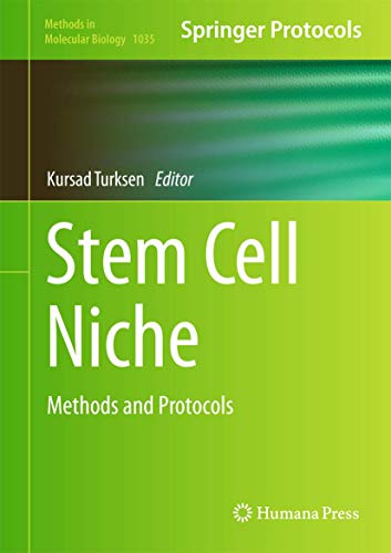 Stock image for Stem Cell Niche. Methods and Protocols. for sale by Gast & Hoyer GmbH