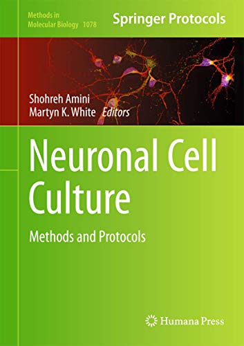 9781627036399: Neuronal Cell Culture: Methods and Protocols: 1078 (Methods in Molecular Biology)