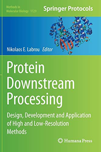 9781627039765: Protein Downstream Processing: Design, Development and Application of High and Low-Resolution Methods