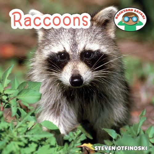 9781627123013: Raccoons (Backyard Safari)