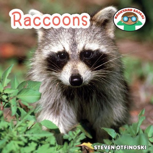 9781627123013: Raccoons