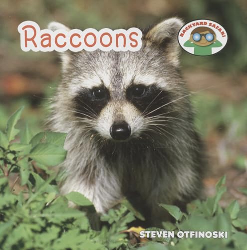9781627123020: Raccoons (Backyard Safari)