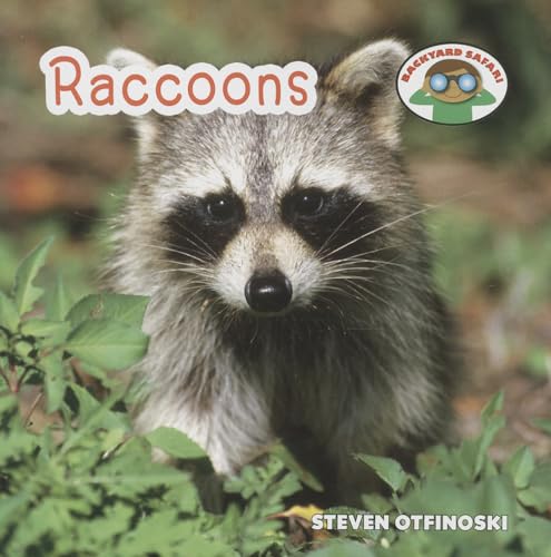 9781627123020: Raccoons