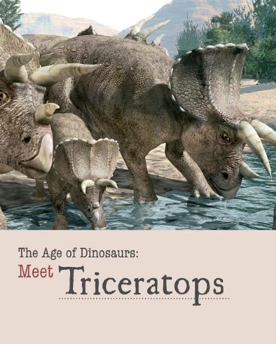 Imagen de archivo de Meet Triceratops a la venta por Better World Books