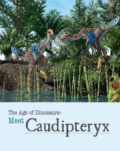 Imagen de archivo de Meet Caudipteryx a la venta por Better World Books: West