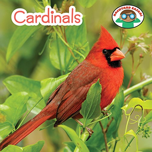 9781627128230: Cardinals (Backyard Safari)