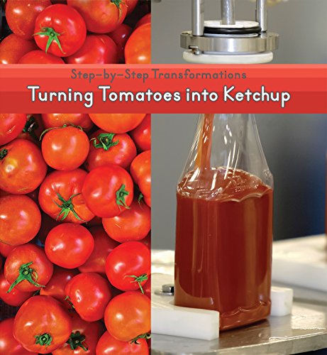 Stock image for Turning Tomatoes into Ketchup for sale by Better World Books