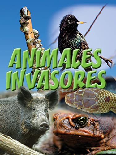 9781627172813: Rourke Educational Media Animales invasores (Let's Explore Science) (Spanish Edition)