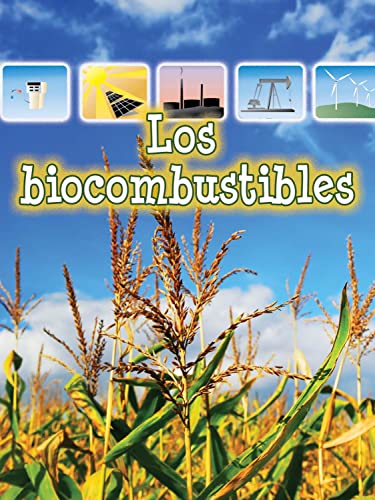 Beispielbild fr Los Biocombustibles zum Verkauf von Better World Books