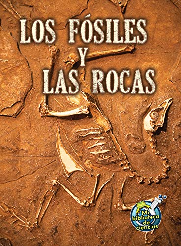 Imagen de archivo de Rourke Educational Media Los f siles y las rocas (My Science Library) (Spanish Edition) a la venta por Half Price Books Inc.