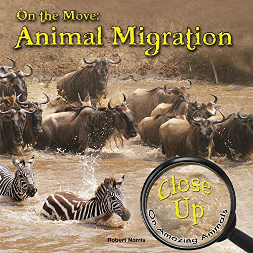 9781627176330: On the Move: Animal Migration (Close-Up on Amazing Animals)