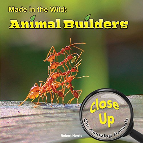 9781627176347: Made in the Wild (Close-Up on Amazing Animals)