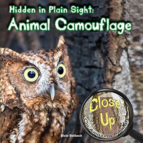 Beispielbild fr Hidden in Plain Sight : Animal Camouflage zum Verkauf von Better World Books