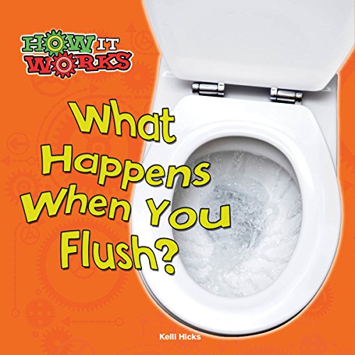 9781627176484: What Happens When You Flush? (How It Works)