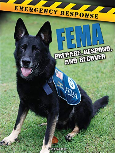 9781627176569: FEMA (Emergency Response)