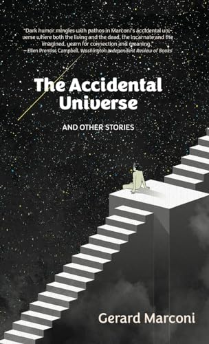 Stock image for The Accidental Universe and Other Stories for sale by PBShop.store US