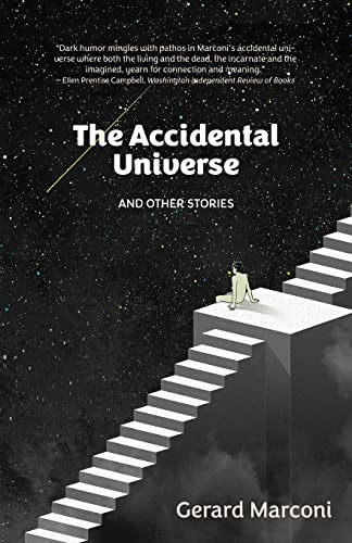 Stock image for The Accidental Universe and Other Stories for sale by SecondSale