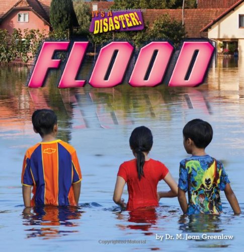 9781627241298: Flood (It's a Disaster!)