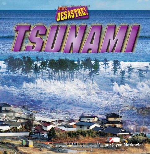 Beispielbild fr Tsunami zum Verkauf von Better World Books