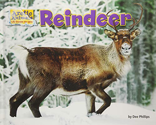 9781627245296: Reindeer (Arctic Animals: Life Outside the Igloo)