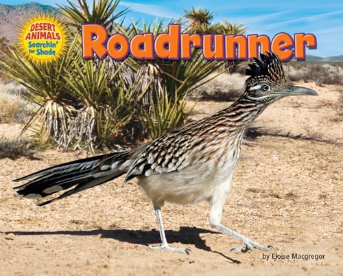 9781627245333: Roadrunner (Desert Animals Searchin' for Shade)