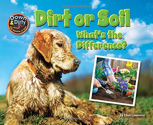 9781627248334: Dirt or Soil: What's the Difference? (Down & Dirty: The Secrets of Soil)