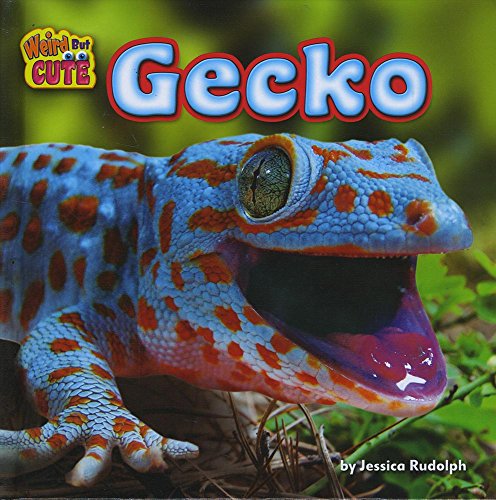 9781627248495: Gecko (Weird but Cute)